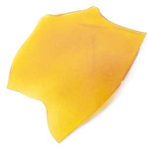 buy Pine Cone shatter
