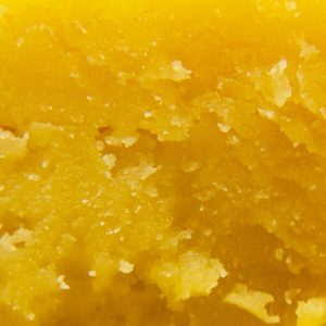 Shark Attack budder