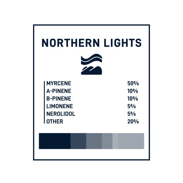 Boost THC Vape Cartridges - Northern lights 1g