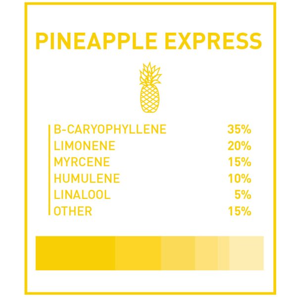 Boost THC Vape Cartridges - Pineapple Express 1g