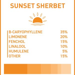 Boost THC Vape Cartridges - Sunset Sherbet 1g
