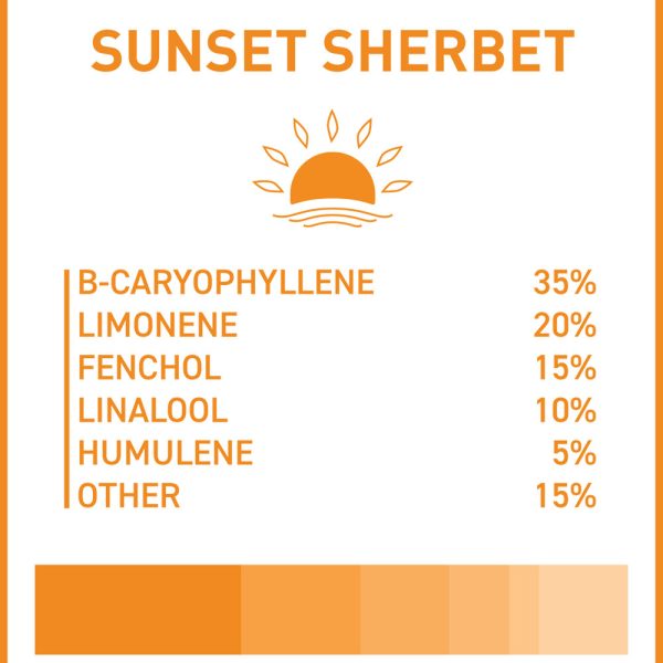 Boost THC Vape Cartridges - Sunset Sherbet 1g