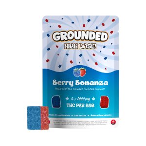 buy Grounded High Dose Bears - Berry Bonanza 2000mg Gummies online