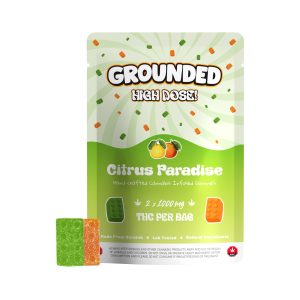 buy Grounded High Dose Bears - Citrus Paradise 2000mg Gummies online