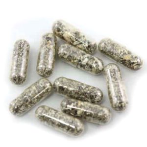 True North - Microdose Mushroom Capsules - 2000mg