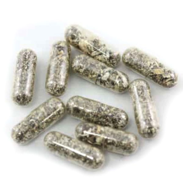 True North - Microdose Mushroom Capsules - 2000mg