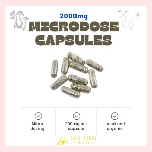 True North - Microdose Mushroom Capsules - 2000mg