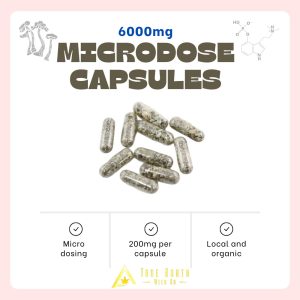 True North - Microdose Mushroom Capsules - 6000mg