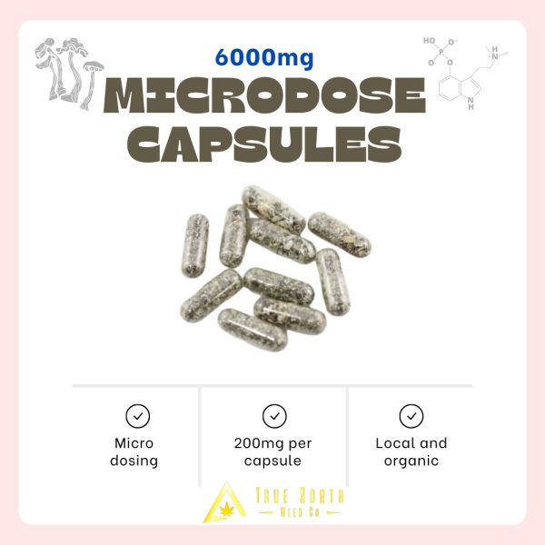 True North - Microdose Mushroom Capsules - 6000mg