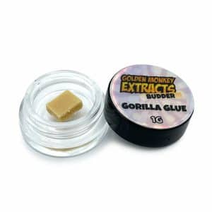 Golden Monkey Extracts Budder – Gorilla Glue