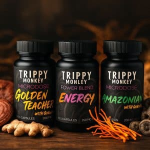 trippy monkey brand banner